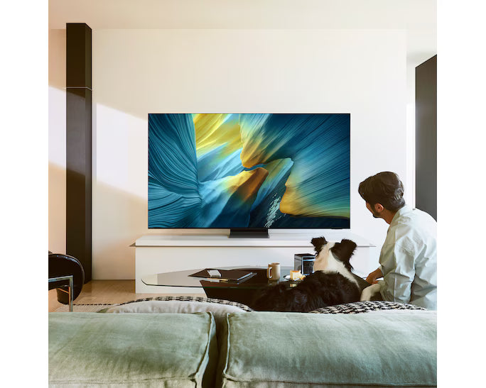 TV SAMSUNG OLED S95F 4K Vision AI Smart TV (2025)